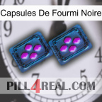 Black Ant Capsules 03